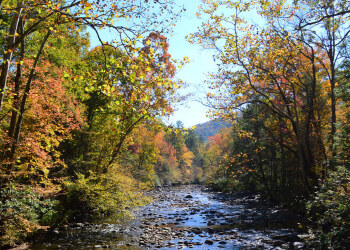 Ohio River fall foliage